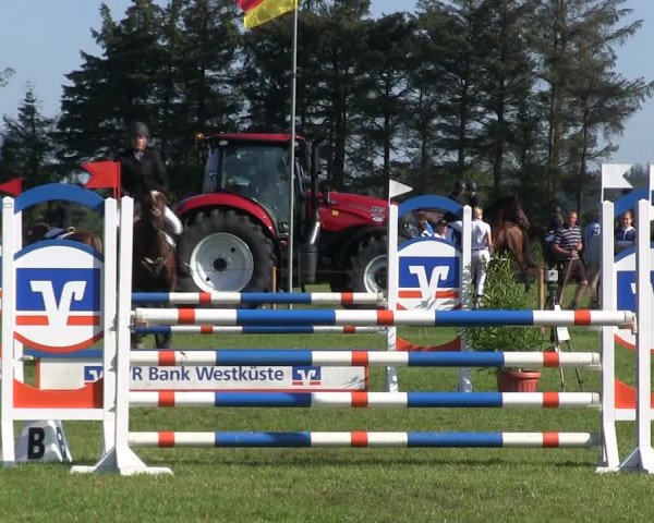 Reitturnier Löwenstedt 2019