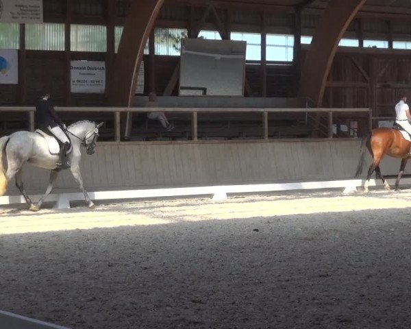 Reitturnier Heidelberg-Kirchheim 2019