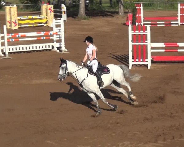 Reitturnier Heidelberg-Kirchheim 2019