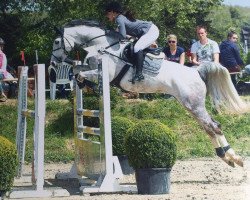 jumper Cusiena (KWPN (Royal Dutch Sporthorse), 2007, from Odermus R)