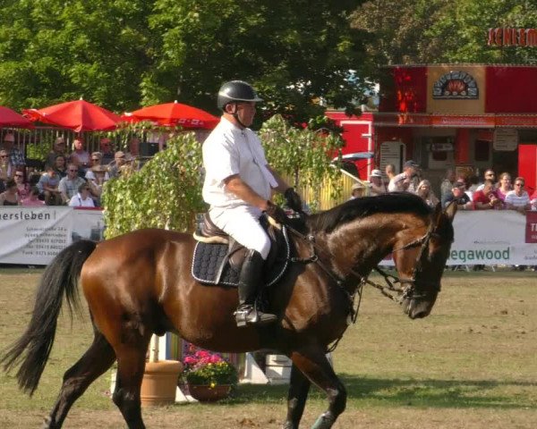 Reitturnier Aschersleben 2019