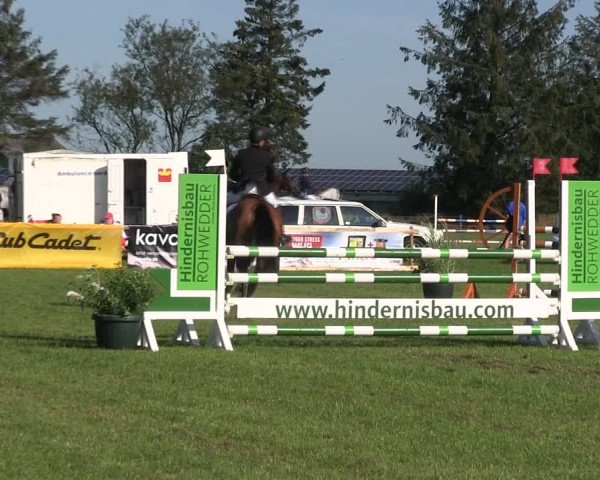 Reitturnier Löwenstedt 2019