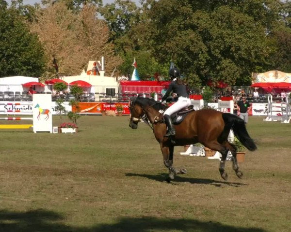 Reitturnier Aschersleben 2019