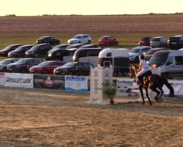 Reitturnier Duderstadt 2019