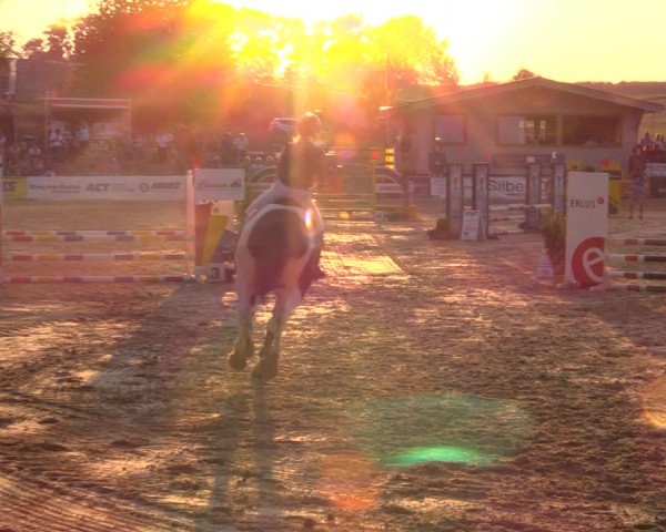 Reitturnier Duderstadt 2019