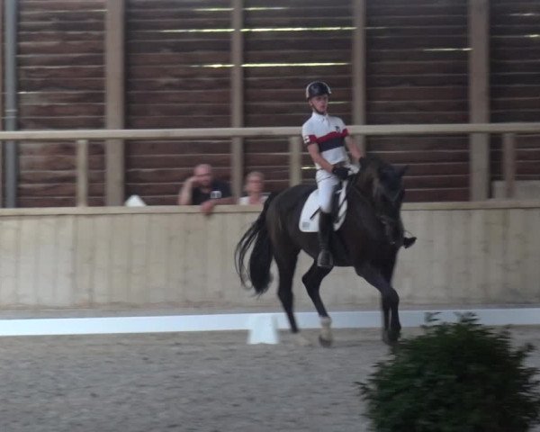 Reitturnier Heidelberg-Kirchheim 2019