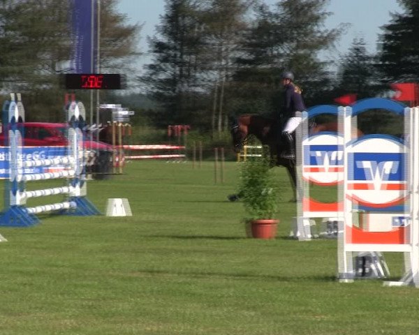Reitturnier Löwenstedt 2019