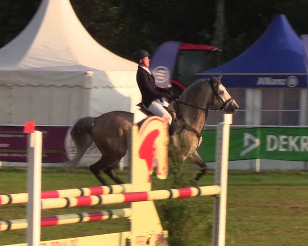 Reitturnier Kellinghusen 2019