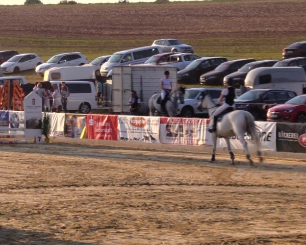 Reitturnier Duderstadt 2019