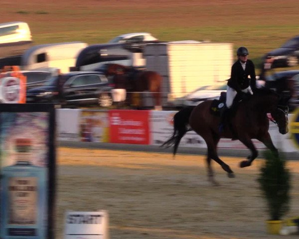 Reitturnier Duderstadt 2019