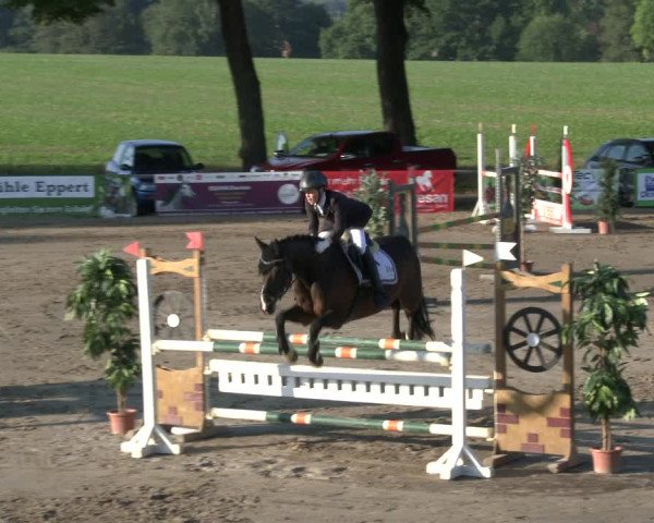 Reitturnier Recklinghausen 2019