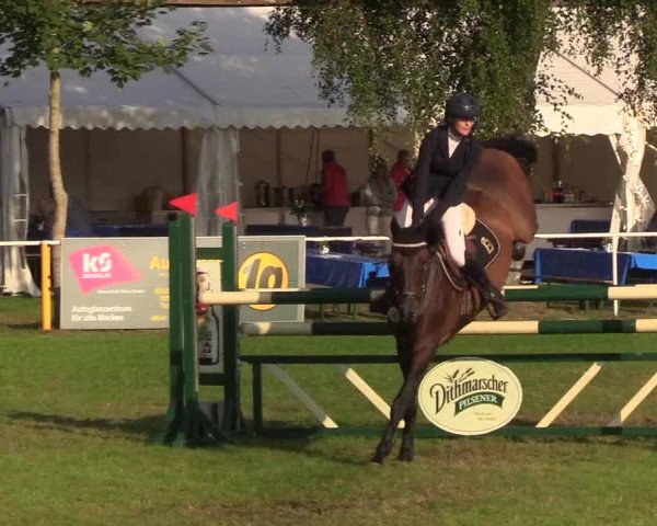 Reitturnier Kellinghusen 2019