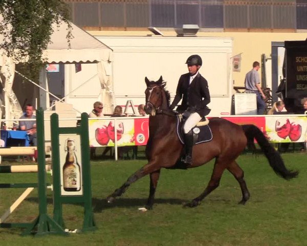 Reitturnier Kellinghusen 2019