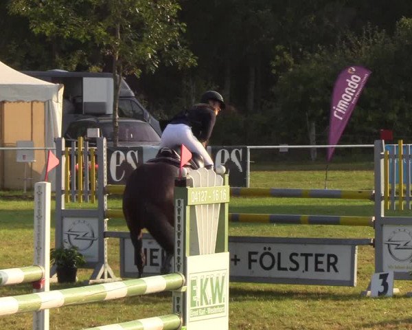 Reitturnier Kellinghusen 2019