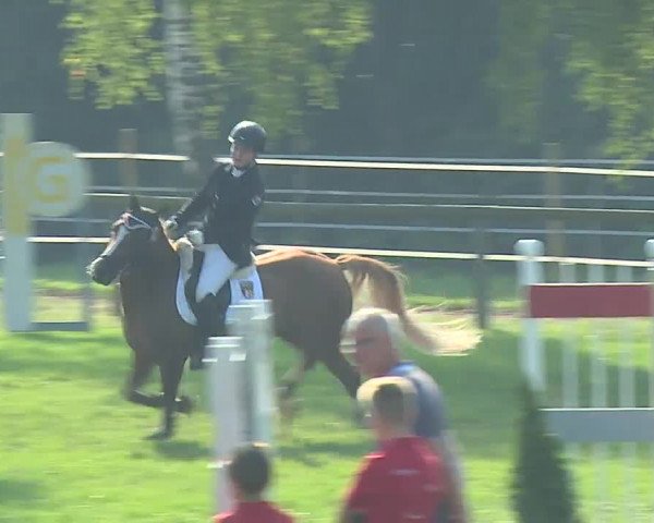 Landesponyturnier Ansbach 2019