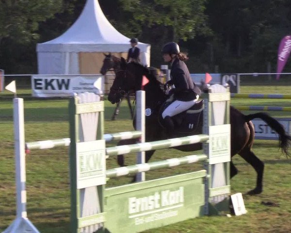 Reitturnier Kellinghusen 2019