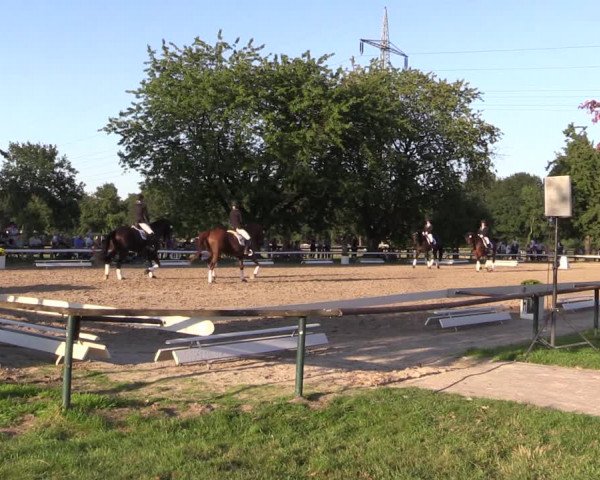 Reitturnier Recklinghausen 2019