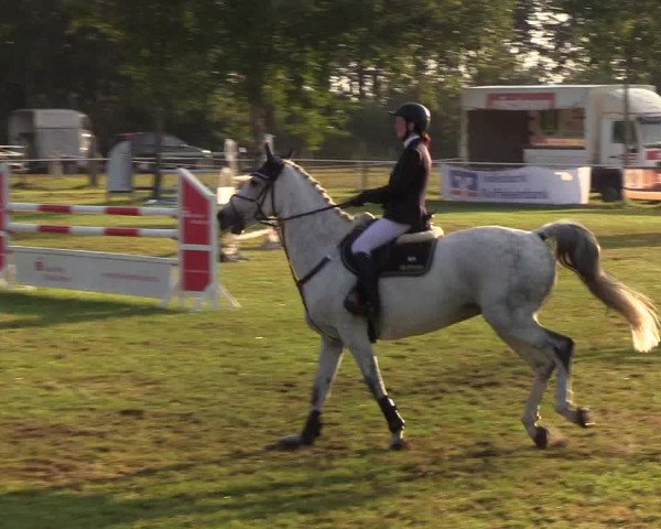 Reitturnier Kellinghusen 2019