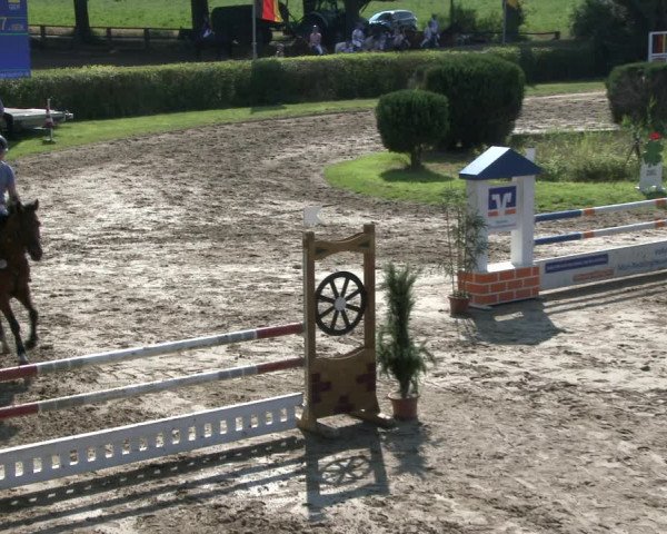 Reitturnier Recklinghausen 2019