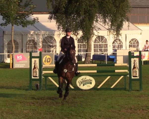 Reitturnier Kellinghusen 2019