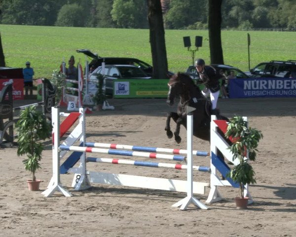 Reitturnier Recklinghausen 2019