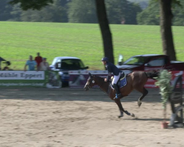 Reitturnier Recklinghausen 2019