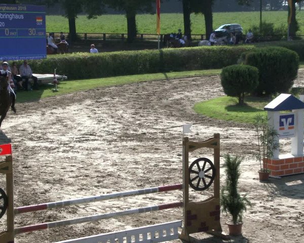 Reitturnier Recklinghausen 2019