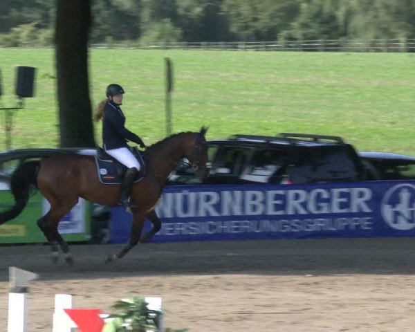 Reitturnier Recklinghausen 2019