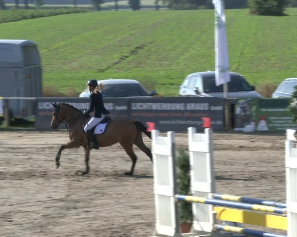 Reitturnier Recklinghausen 2019