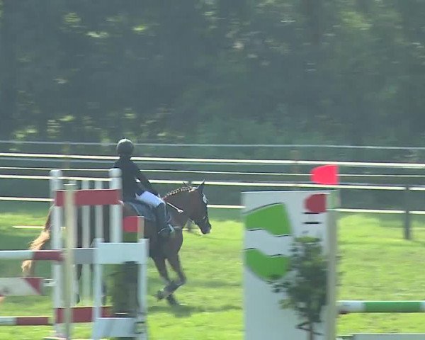 Landesponyturnier Ansbach 2019