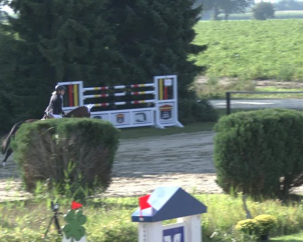 Reitturnier Recklinghausen 2019