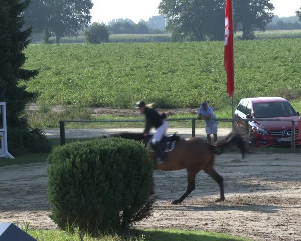 Reitturnier Recklinghausen 2019