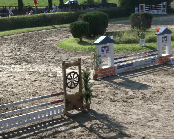 Reitturnier Recklinghausen 2019