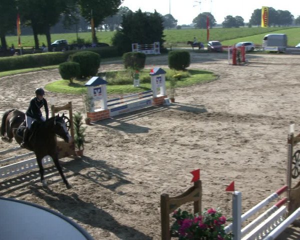 Reitturnier Recklinghausen 2019