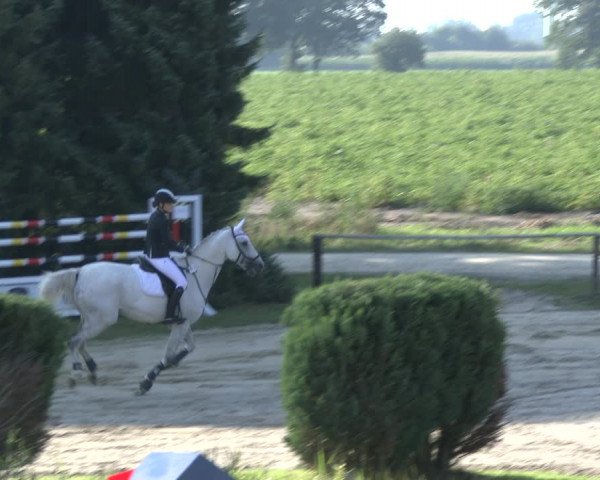 Reitturnier Recklinghausen 2019
