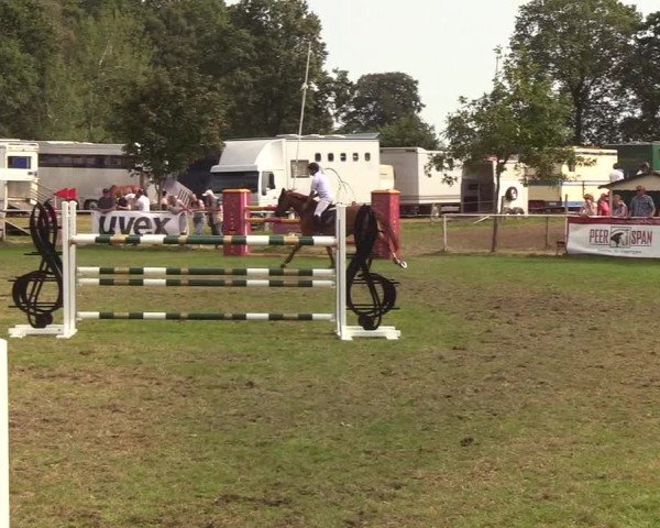 Reitturnier Kellinghusen 2019