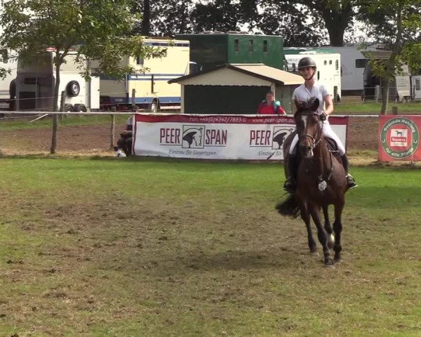 Reitturnier Kellinghusen 2019