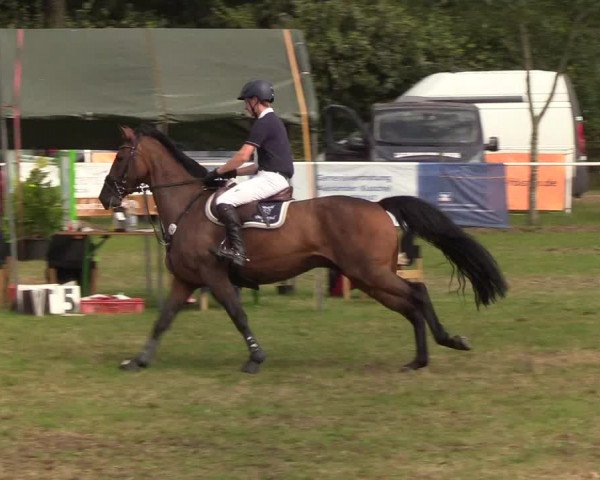Reitturnier Kellinghusen 2019