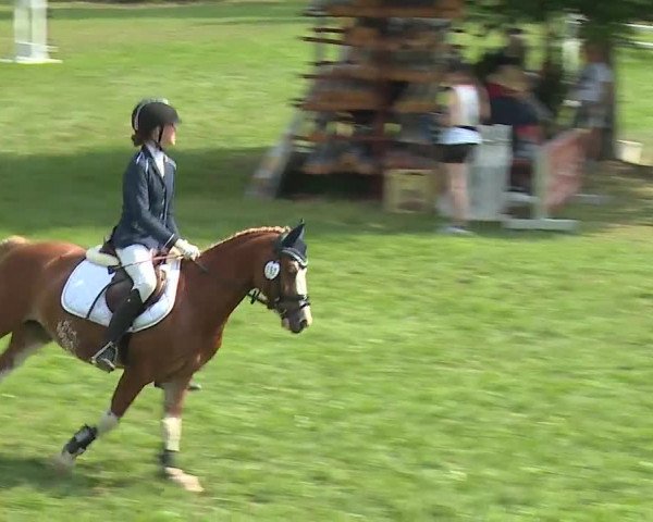 Landesponyturnier Ansbach 2019