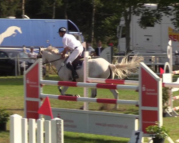 Reitturnier Kellinghusen 2019