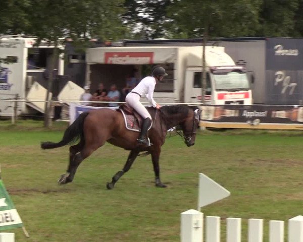 Reitturnier Kellinghusen 2019