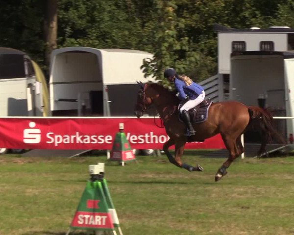 Reitturnier Kellinghusen 2019