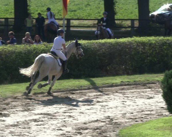 Reitturnier Recklinghausen 2019