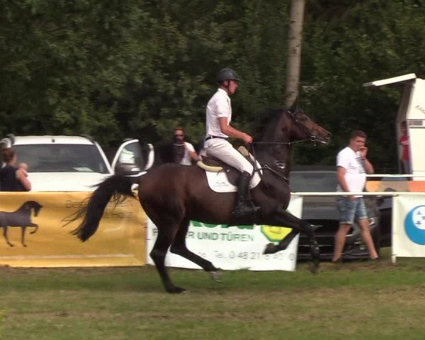 Reitturnier Kellinghusen 2019