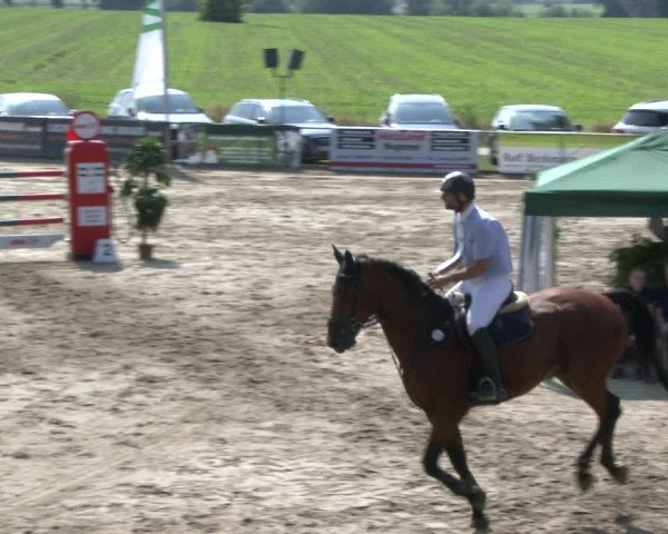 Reitturnier Recklinghausen 2019