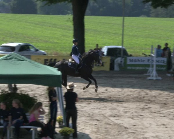 Reitturnier Recklinghausen 2019