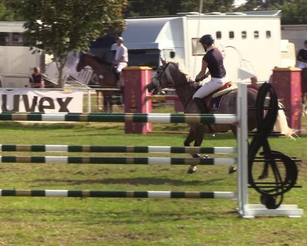 Reitturnier Kellinghusen 2019