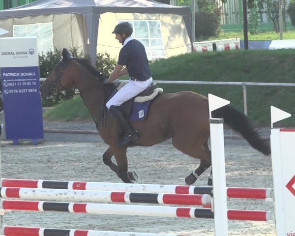 Reitturnier Durmersheim-Hardt 2019