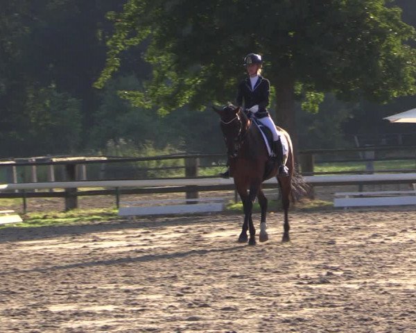 Reitturnier Recklinghausen 2019