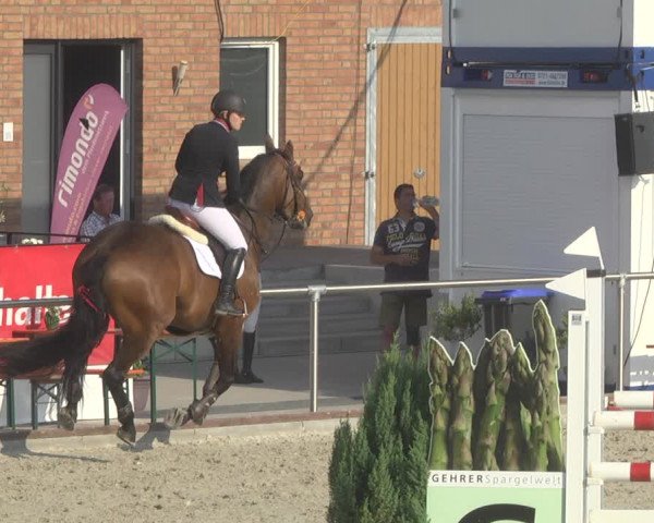 Reitturnier Durmersheim-Hardt 2019